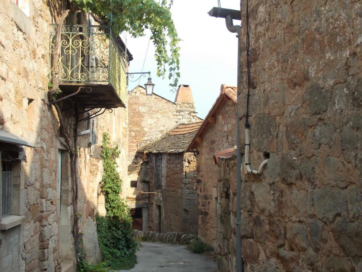 Le Cintrium Bed & Breakfast Viala-du-Tarn Exterior photo