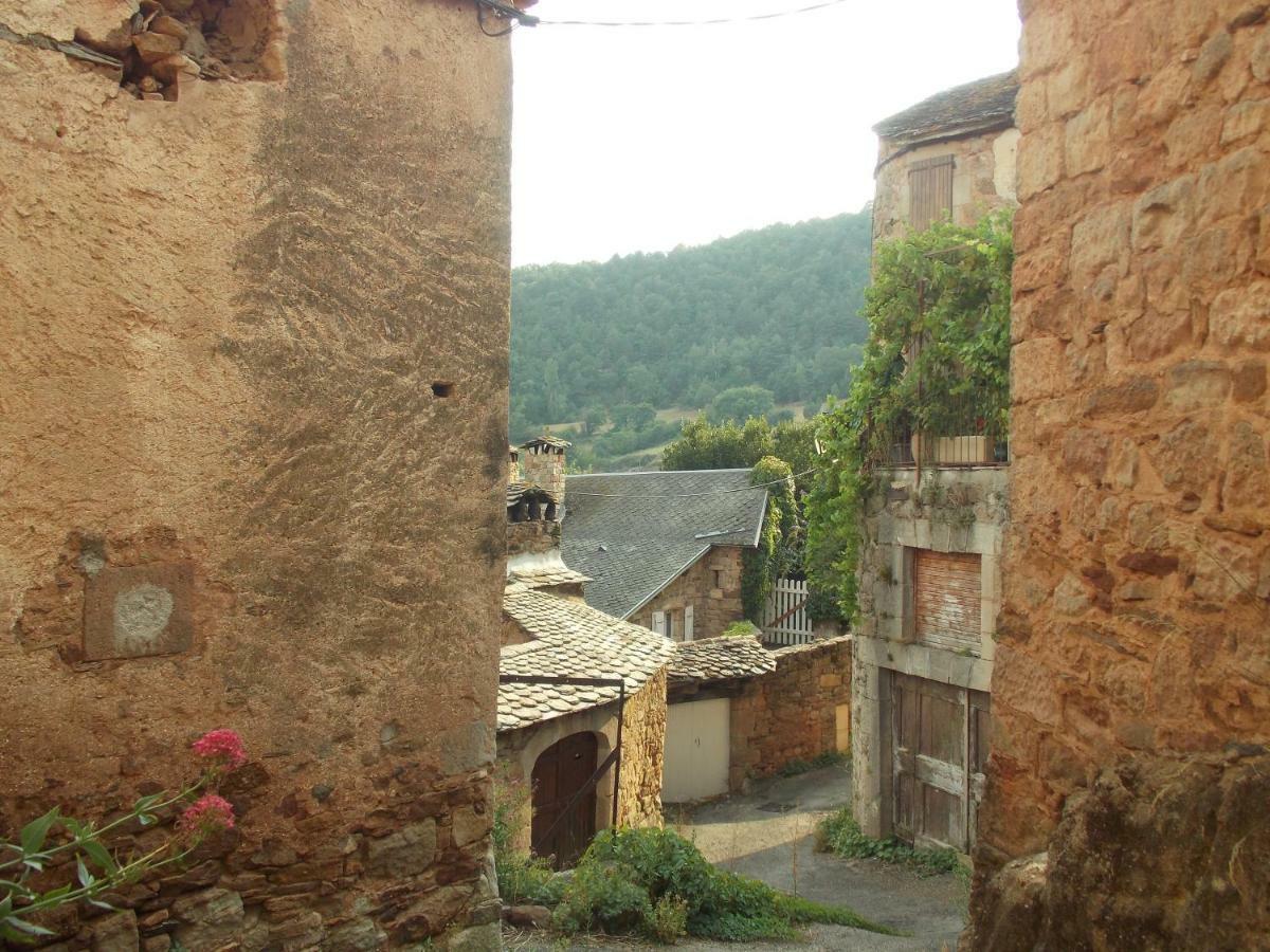 Le Cintrium Bed & Breakfast Viala-du-Tarn Exterior photo
